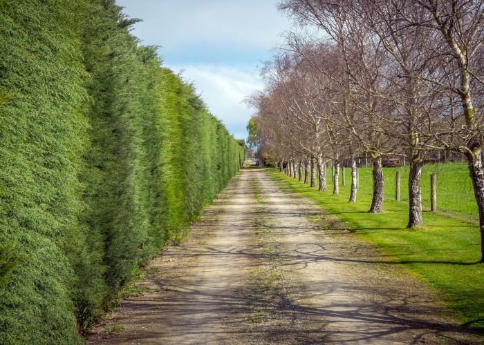  at 491 Seadown Road, Timaru