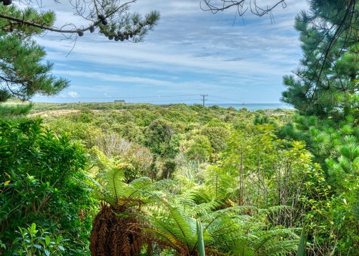  at 980 State Highway 6, Rapahoe, Grey, West Coast