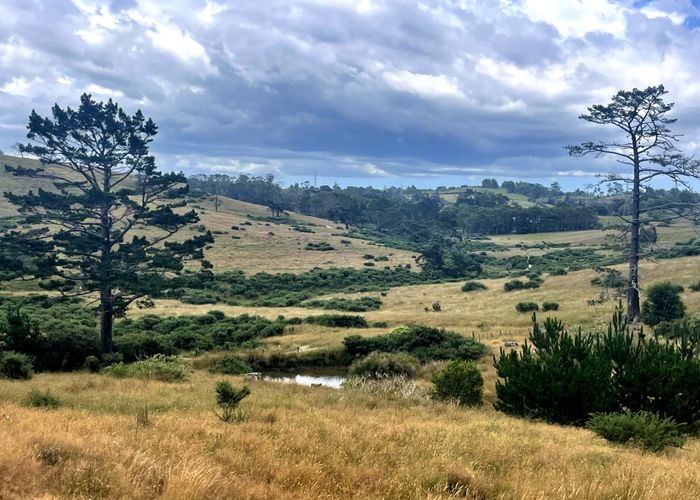  at 579 Duck Creek Road, Stillwater, Rodney, Auckland