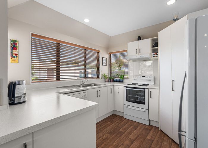  at 48A Pine Avenue, Otumoetai, Tauranga, Bay Of Plenty