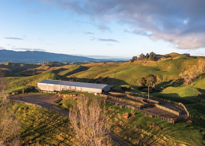  at 1905 Ridge Road, Pohangina, Manawatu, Manawatu / Whanganui