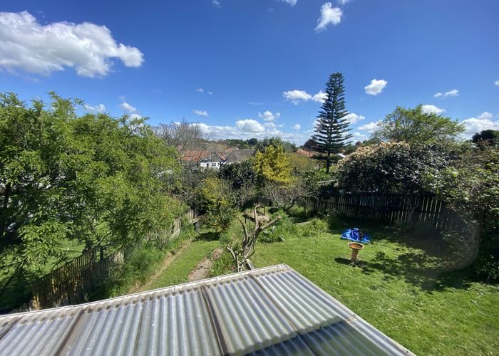 at 29 Bledisloe Terrace (Hayes Paddock), Hamilton East, Hamilton, Waikato