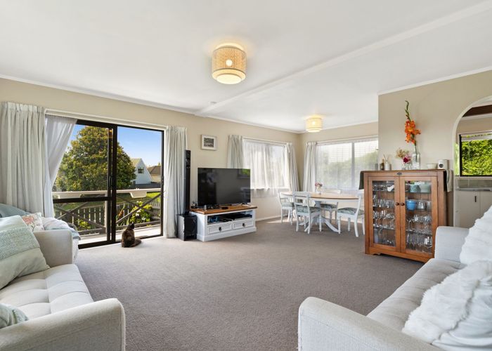  at 338A Waihi Road, Judea, Tauranga, Bay Of Plenty