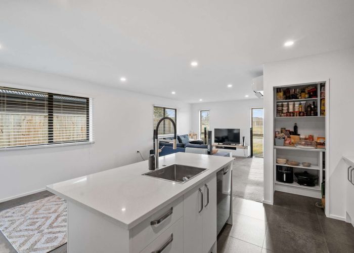  at 20 Pallid Green, Rolleston, Rolleston