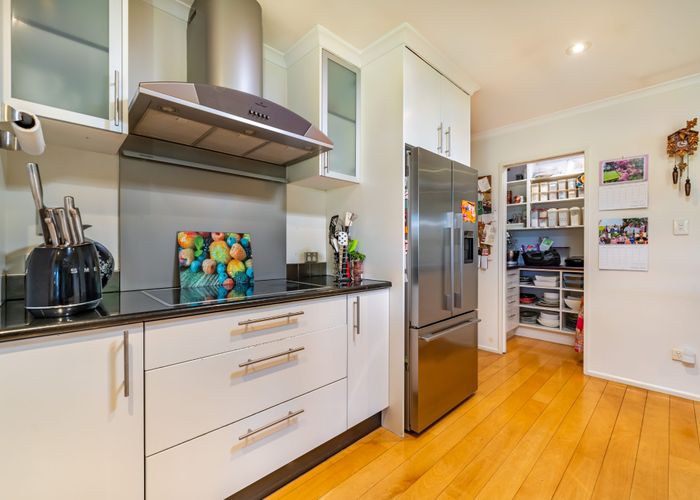  at 41 Andrew Street, Kuripuni, Masterton