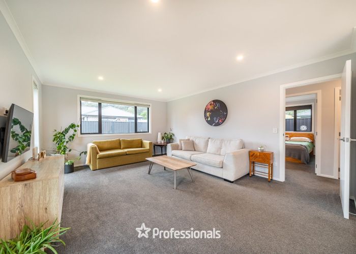  at 113 Mawai Hakona Drive, Wallaceville, Upper Hutt, Wellington