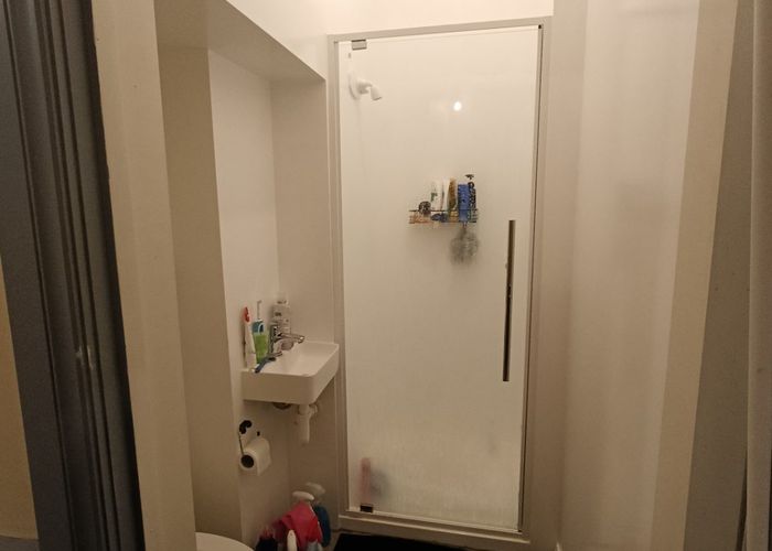  at 9 Dundas Street, North Dunedin, Dunedin, Otago