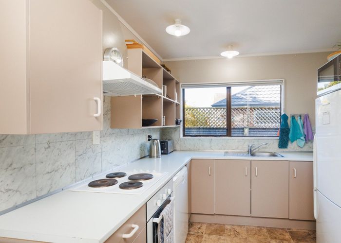  at 23 Limbrick Street, Terrace End, Palmerston North