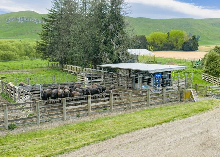  at 551 and 552 College Road, Otane, Central Hawke's Bay, Hawke's Bay