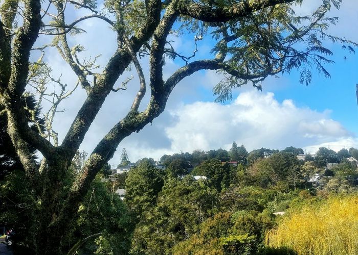  at 110 Canongate Street, Birkdale, North Shore City, Auckland