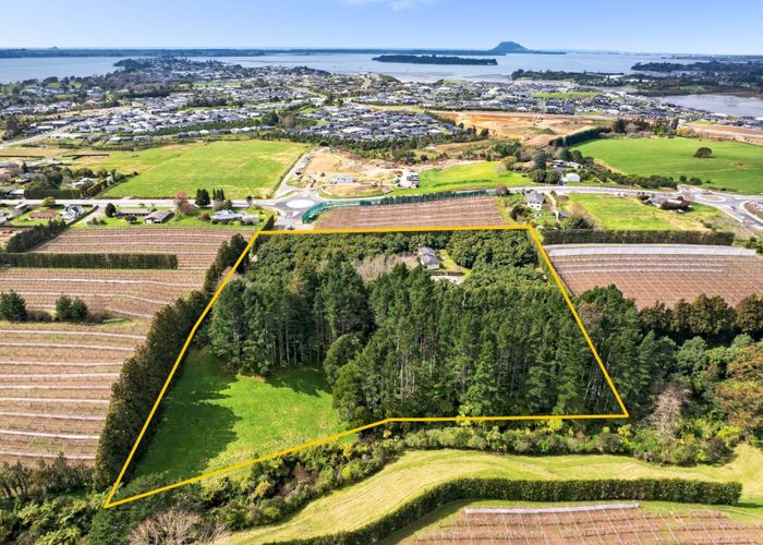  at 61 Prole Road, Omokoroa, Western Bay Of Plenty, Bay Of Plenty