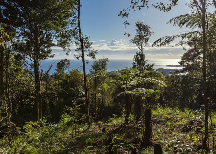  at lot 3/1070 Wainui Road, Kaeo, Far North, Northland