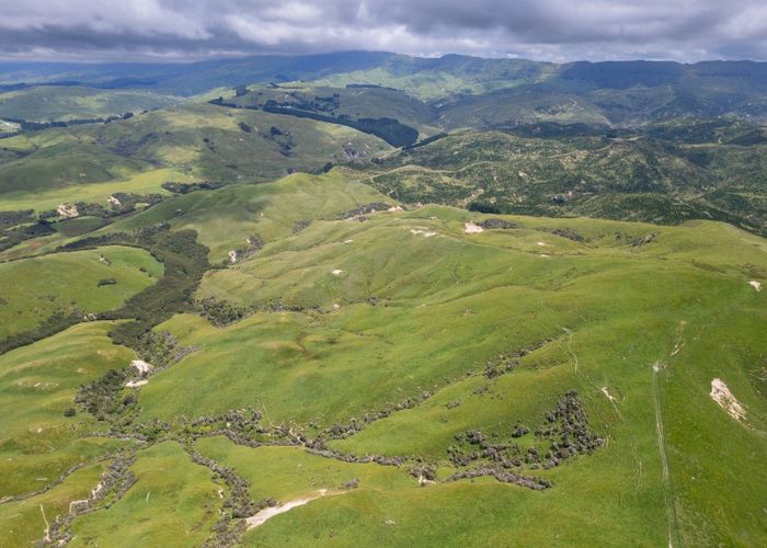  at 83 Towai Road, Dannevirke, Tararua, Manawatu / Whanganui
