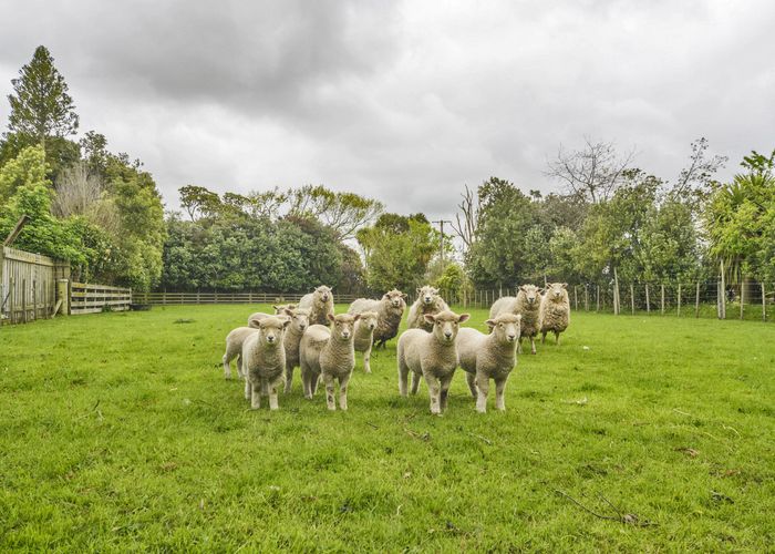  at 1347 Camerons Line, Aorangi, Feilding