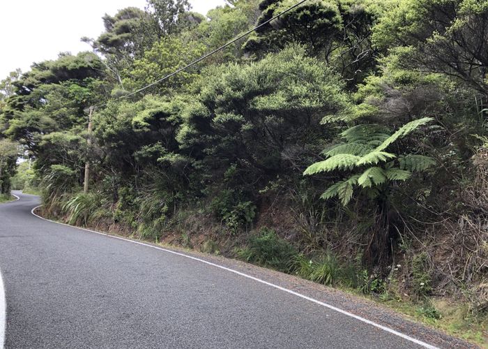  at 127 Lone Kauri Road, Karekare, Auckland