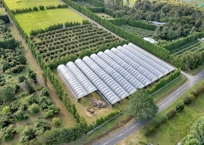  at 65 Tatton Rd, Maungatapere, Whangarei, Northland