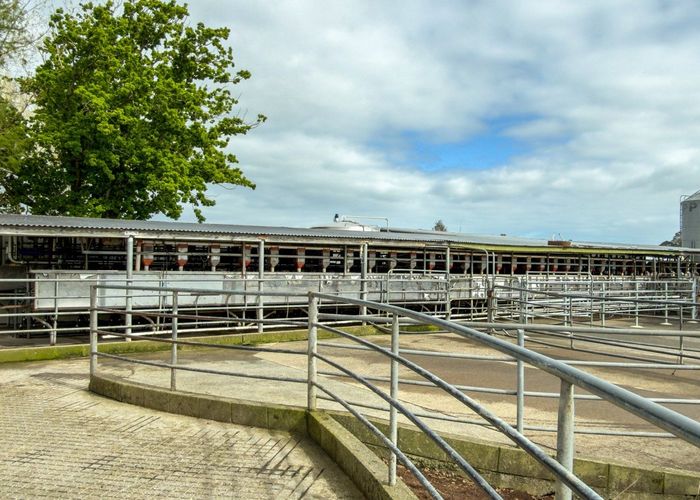  at 119 Wharepoa Road, Netherton, Hauraki, Waikato