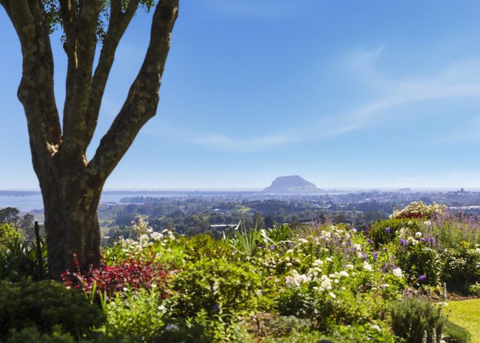  at 179B Crawford Road, Te Puna, Western Bay Of Plenty, Bay Of Plenty