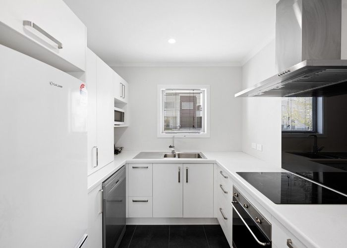  at 66 Tennille Street, Flagstaff, Hamilton, Waikato