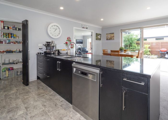  at 16 Geoff Geering Drive, Netherby, Ashburton