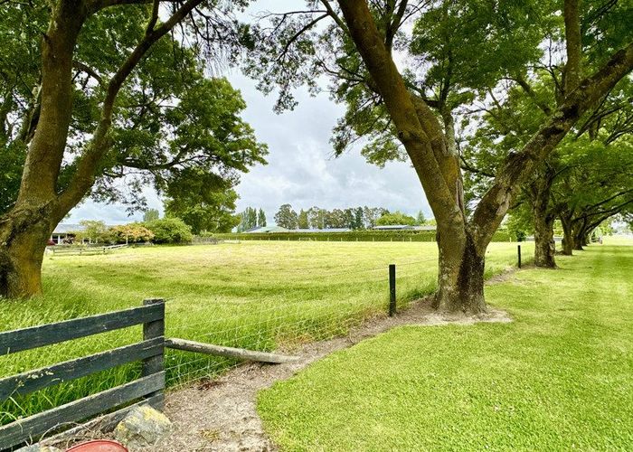  at Lot 1, 90 Wilkins Road, Tinwald, Ashburton, Canterbury