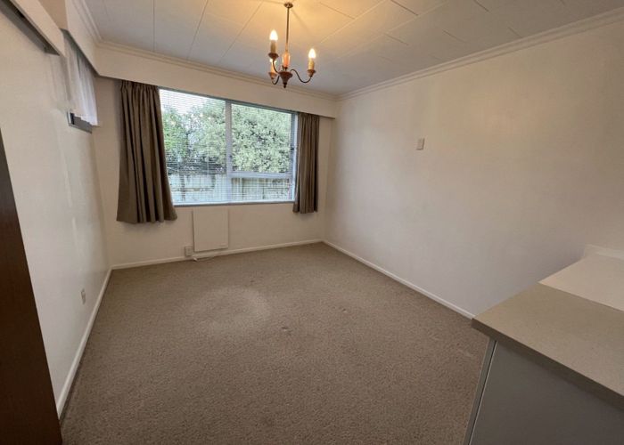  at 319 Albert Street, Hokowhitu, Palmerston North, Manawatu / Whanganui