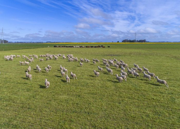  at 135 Copley Road, Chertsey, Ashburton, Canterbury