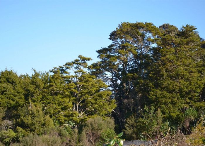  at Lots 2-5/117 Arran Point Parade, Orewa, Rodney, Auckland