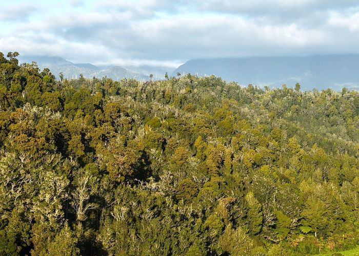  at 0 Granite Creek Road, Karamea, Buller, West Coast