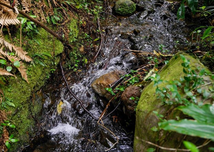 Free property data for 1466 Russell Road, Helena Bay, Hikurangi homes