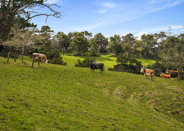  at 167 Anderson Road, Kaukapakapa, Rodney, Auckland