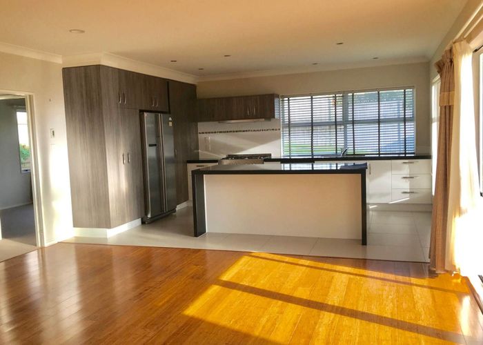  at 19 Woolaston Place, Flat Bush, Manukau City, Auckland