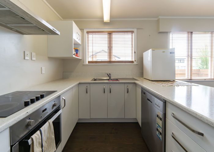  at 57 Ascot Road, Chartwell, Hamilton
