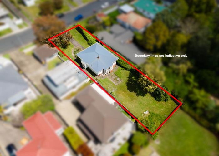  at 19 Bardia Street, Belmont, Auckland