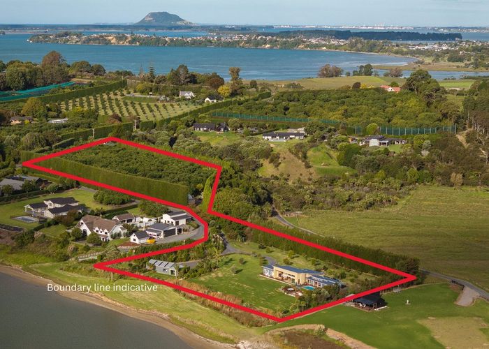  at 37 Pahoia Beach Road, Whakamarama, Western Bay Of Plenty, Bay Of Plenty