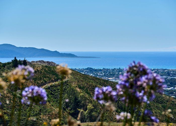  at 46 Eucalyptus Way, Paraparaumu, Kapiti Coast, Wellington