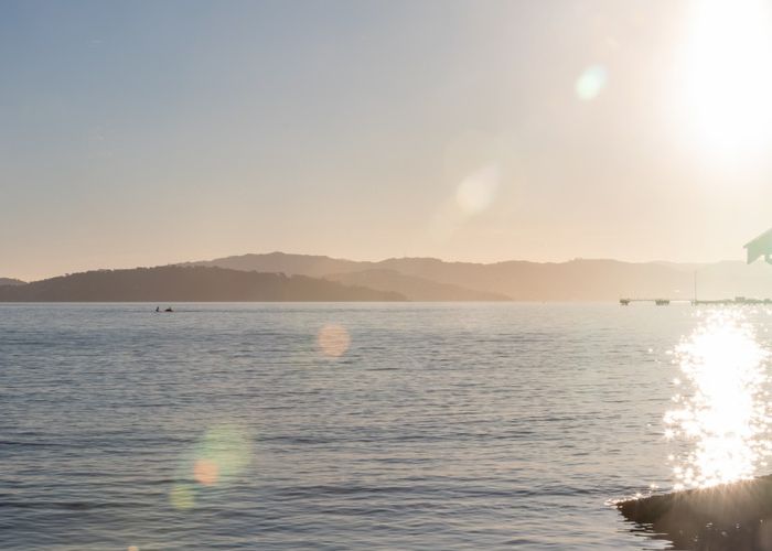  at 219 Marine Drive, Lowry Bay, Lower Hutt