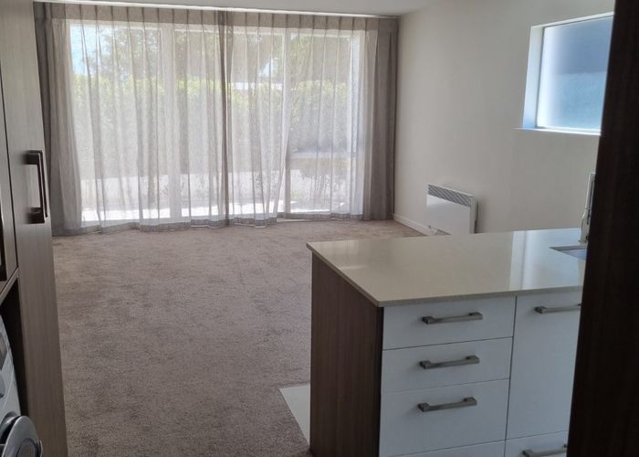  at 10/3 Birdwood Crescent, Parnell, Auckland City, Auckland