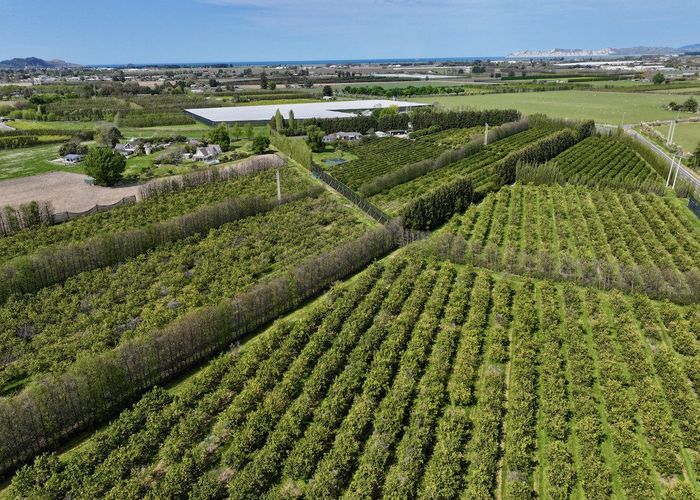  at 19 Pilmer Road, Makauri, Gisborne, Gisborne