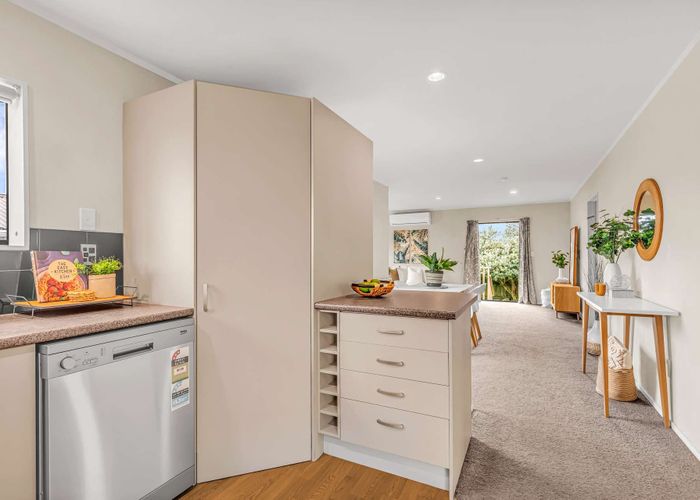  at 589B Maunganui Road, Mount Maunganui, Mount Maunganui