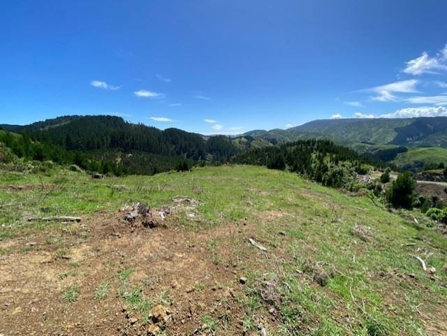  at Lot 12/669 Paekakariki Hill Road, Pauatahanui, Porirua, Wellington