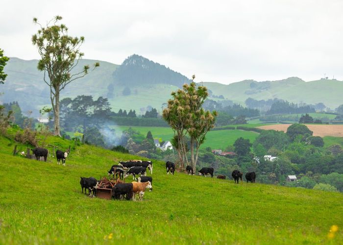  at 00 Princes Street, Waikino, Hauraki, Waikato