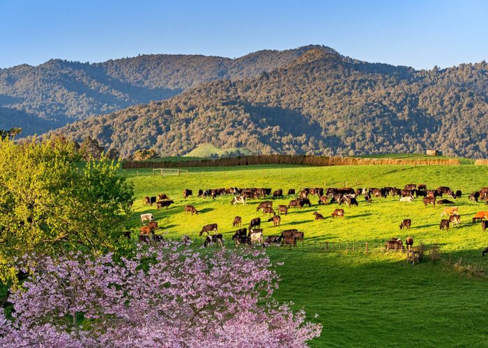  at 48 Poland Street, Waikino, Hauraki, Waikato