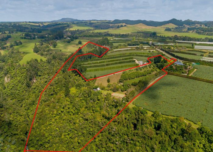  at 827 No 1 Road, Te Puke, Western Bay Of Plenty, Bay Of Plenty