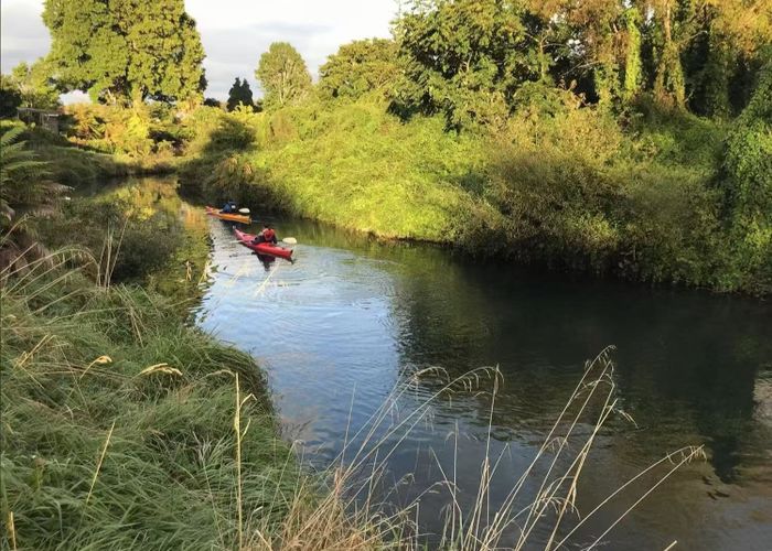  at 8 Egmont Road, Ngongotaha, Rotorua, Bay Of Plenty