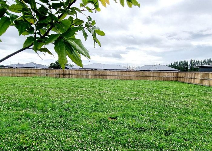  at 34 Nikau Drive, Blenheim, Blenheim, Marlborough