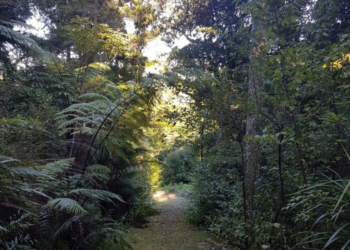  at 27 Ranfurly Place, Kamo, Whangarei, Northland