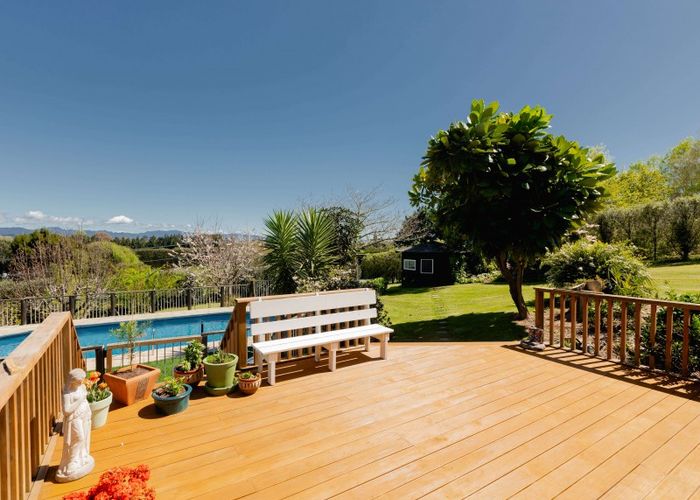  at 40A Snodgrass Road, Tauranga