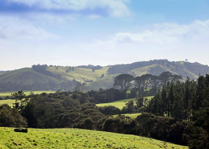 For sale 605 WhitfordMaraetai Road, Beachlands, Manukau City