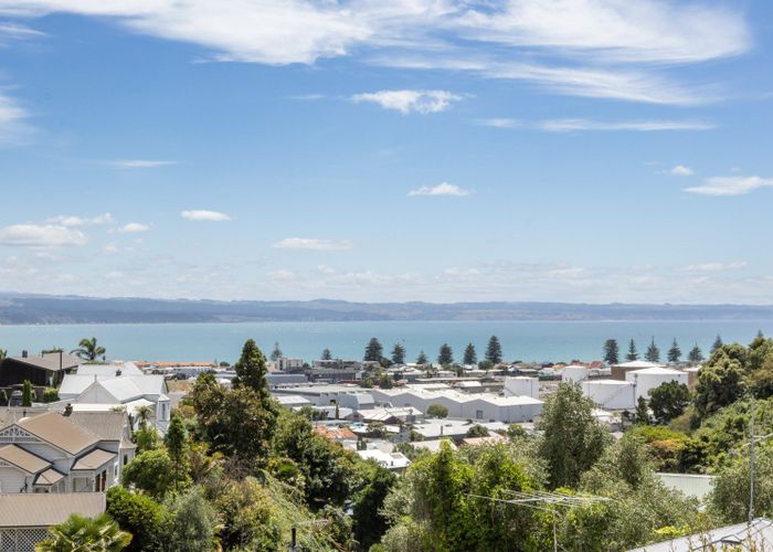  at 20 Goldsmith Road, Hospital Hill, Napier